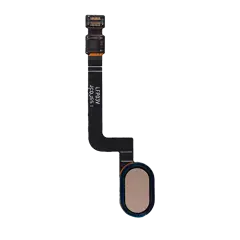 Bouton Accueil avec Câble Flex Compatible pour Motorola Moto G5 Plus (XT1687 / 2017) (Or)