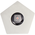 Stainless Steel Opening Picks Pry Tool (A) (Qianli)